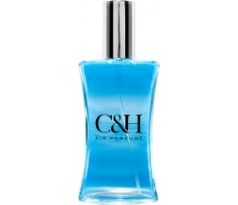 C&H Air Perfume - New Car 50ml