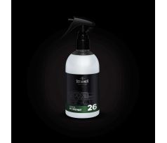 Deturner INTERIOR MATT 250ML